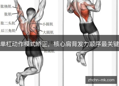 单杠动作模式矫正,核心肩背发力顺序最关键 单杠动作模式矫正,核心肩背发力顺序最关键